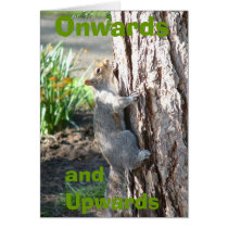 Onwards and Upwards! cards