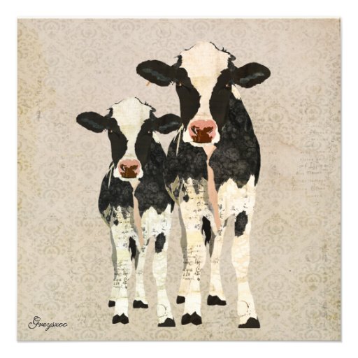Onyx & Ivory Cows Baby Invitation