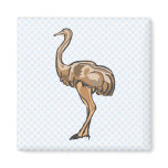 Onyx Ostrich