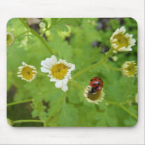 Ooo! a bug! mousepads