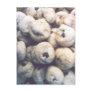 oooh! cookies! post card