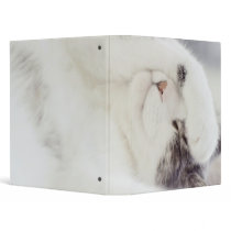 Oooh man..kittycat binder