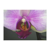 OOOH orchid canvas prints