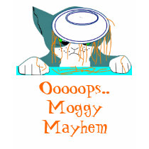 Ooooops.., Moggy Mayhem t-shirts