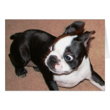 Oooppppps! BT Greeting Card
