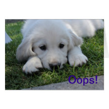 Oops, I'm Sorry apology card