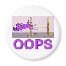 OOPS! MAGNETS