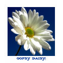 OOPSY DAISY! t-shirts