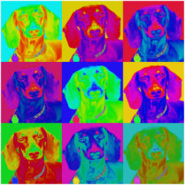 Op Art Doxie Photo Cut Out