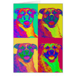 Op Art Pitbull Cards