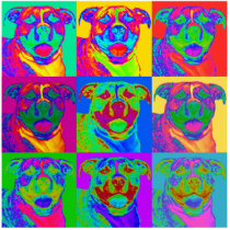 Op Art Pitbull Photo Cut Outs