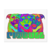 Op Art Pitbull Postcards