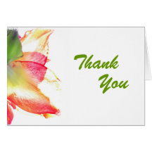 Opacity Thank You Cards