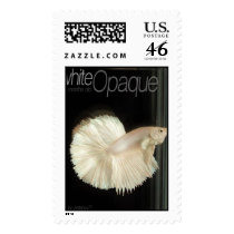 Opague Halfmoon betta. postage