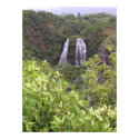 Opaka Falls, Kauai posters by 8t8vette Opaka Falls, Kauai posters