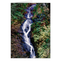 Opal Falls cards
