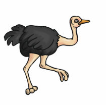 Opal Ostrich photo sculptures by BisforBirds Opal Ostrich photo sculptures