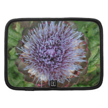 Open Artichoke Flower. Purple. Organizer