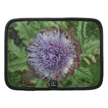 Open Artichoke Flower. Purple. Organizer