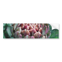 Open Artichoke Plant. Bumper Stickers