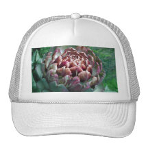Open Artichoke Plant. Trucker Hats