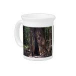 Open base of a large redwood drink pitchers