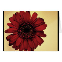 Open Bloom cards by sprkels Open Bloom cards