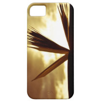 Open Book and Sunset Photograph iPhone 5 Case