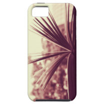 Open Book Photograph iPhone 5 Covers
