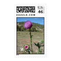 Open & Closed postage
