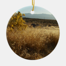 Open Field Ornaments