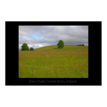 Open Field posters