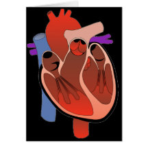 Open Hearted Card