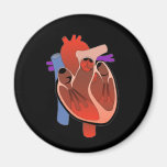 Open Hearted Magnets