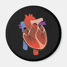 Open Hearted Magnets