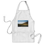 Open Highway- Death Valley aprons
