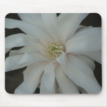 Open Magnolia Centennial  Bloom mousepads