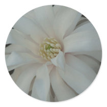 Open Magnolia Centennial Bloom stickers