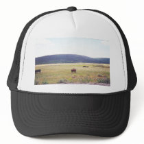 Open Range Hat