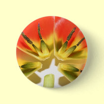 Open re-constructed red tulip buttons