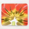 Open re-constructed red tulip mousepads