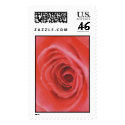 Open Rose (1) (Customize) postage by MarkoMarko Open Rose (1) (Customize) postage
