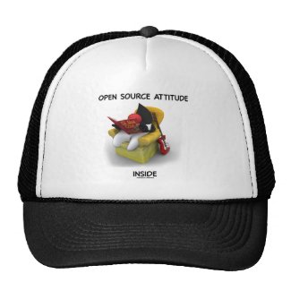 Open Source Attitude Inside (Duke Java Book Chair) Hat