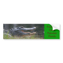 Open wide  Fisheating Creek Palmdale Florida Bumper Sticker