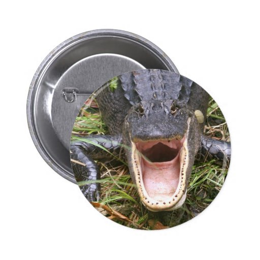 Open Wide! Florida Alligator Buttons
