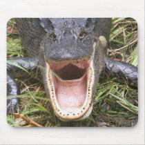 Open Wide! Florida Alligator Mouse Pads