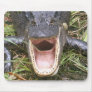 Open Wide! Florida Alligator Mouse Pads