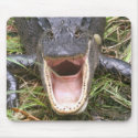 Open Wide! Florida Alligator mousepads by wildlifezoo Open Wide! Florida Alligator mousepads