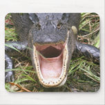 Open Wide! Florida Alligator Mouse Pads