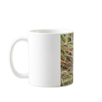 Open Wide! Florida Alligator Mugs
